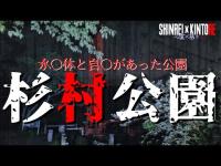 【和歌山県】自〇者の霊が出ると噂の吊り橋と入り込む多数の声 杉村公園【心霊×筋トレ】