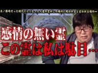 【心霊】この場所気持ち悪い！！！次元の狭間で多様な霊が現れる化けトン･･･このうなだれている男の霊は一体･･･千葉県 心霊スポット 木ノ根隧道を遠隔霊視