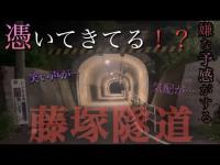 【心霊コラボ】神奈川県『藤塚隧道《通称：化けトン》』笑い声が憑きまとう…アナタは何を感じますか…？