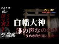 【白幡大神】千葉県心霊スポット巡り～produce by ぞわっTV～