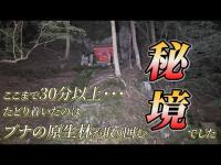 鱒池亭からさらに山奥へ。そこには素晴らしい神社がありました。