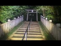 心霊スポット生ライブ  埼玉県　武野神社