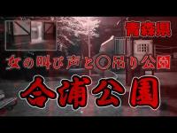 【心霊 合浦公園】『閲覧注意』衝撃のラストが後半待ち構えています！青森県でも有名な〇吊りスポット合浦公園！夜は一変する…。