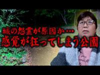 【心霊】心霊スポットに行ったので遠隔霊視してもらった 東京都 心霊スポット 世田谷城址公園を遠隔霊視