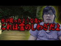 【心霊】霊はいるっちゃいるよね･･･水の周りには色んなモノが寄ってくる 東京都 心霊スポット 石神井公園 三宝寺池を遠隔霊視