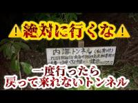 【絶対に行くな⚠️】行ったら最後戻れない内海トンネル 愛知県