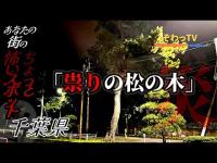 【祟りの松の木】千葉県心霊スポット巡り～produce by ぞわっTV～