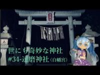 【心靈探訪】 #34-達磨神社　その神域を穢すなかれ！