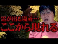 【心霊】霊達が出るのはここから･･･噂の霊がでる場所が霊視で判明！ 群馬県 心霊スポット めがね橋(碓氷第三橋梁)を遠隔霊視