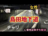 島田地下道（岡山県）　【心霊スポット検証散歩生配信】　#心霊　#horror