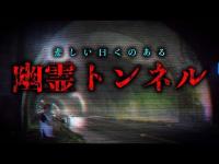 悲しい曰くのある心霊トンネルを、のんびり散歩してきた【さくらトンネル】