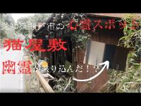 【閲覧注意】愛知県瀬戸市の心霊スポット猫屋敷に行ったらまさかの...