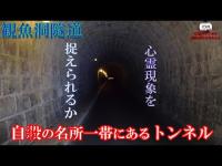 Vol.134【心霊】観魚洞隧道　自〇の名所一帯にあるトンネル