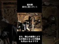 栃木県心霊スポット「足尾鉱山」