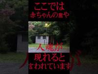 #Shorts 窓ガラスに子供の顔が心霊写真として写った時の話です