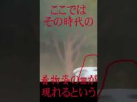 #Shorts 多くの武士の血が流れた城跡に行った時の話です