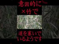 #Shorts 観世音様を目指して道なき道を進んだ時の話です