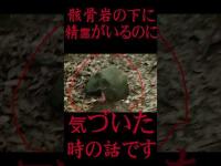 #Shorts 呪われた山の骸骨岩の下にピンクの精霊様がいた時の話です