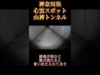 一人肝試し　神奈川県心霊スポット『山神トンネル』 #心霊スポット #オカルト #恐怖