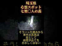 一人肝試し　埼玉県心霊スポット『七里〇人の森』 #オカルト #心霊スポット #恐怖