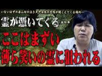 【心霊】霊達がにやにや笑っている･･･ここは霊達も入らない･･･かなり危険な状況！ 心霊スポット 遠隔霊視 千葉県 斧落隧道
