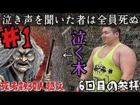 【心霊調査】泣く木part1『6回目の参拝』死者数30人越え…。泣く声を聞いたらお前は3日以内に死ぬ。#心霊 #心霊スポット #心霊現象 #泣く木 #霊能力者ちょろめろ  #おすすめ #オススメ