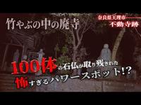 【唖然】竹やぶの中に潜む廃寺に言葉を失いました。。