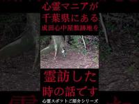 #Shorts 心霊マニアが千葉県にある成田心中屋敷跡地に霊訪した時の話です