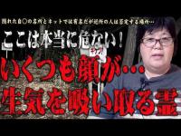 【心霊】ここは霊が木に宿ってしまっている･･･こちらをじーっと見ている霊が訴えてくる 心霊スポット 遠隔霊視 栃木県 鶴田沼(ひょうたん沼)