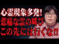 【心霊】霊障多発！行くなと進むなとアピールする霊が多い公園･･･幽霊がゆらゆらと漂っている  心霊スポット 遠隔霊視 栃木県 八幡山公園