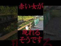 #Shorts 何の変哲もないゴミ捨て場に赤い女が現れるのを知った時の話です