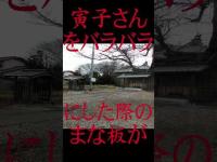 #Shorts 寅子さんをバラバラにしたまな板を見つけた時の話です
