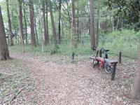 【憩いの場？心霊スポット？】「八木ケ谷北市民の森」～千葉県船橋市【ブロンプトンでポタリング】#436
