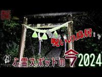「立入禁止」の幽霊神社・飯久保天満宮【2024年11月・心霊スポットの今】