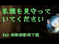 【心霊探訪】 晴れることのない、母と子の悲痛な想い　#42-西新井駅地下道