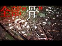 【削除覚悟】人○が映っていたらごめんなさい：朝日川キャンプ場