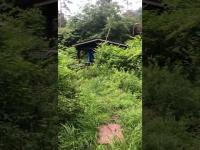 朝日川キャンプ場   山梨県都留市殺人事件現場