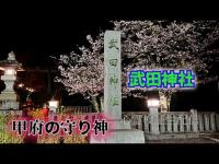 武田神社（山梨）【心霊スポット検証生配信】