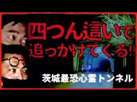 【月居トンネル】噂の心霊トンネルを通ったら、霊が四つん這いで追いかけてきた！【茨城心霊】