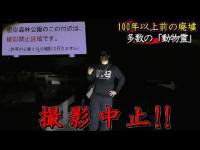 【根岸森林公園】撮影中止!!! １００年以上前にある廃墟が未だに存在します。動物霊の目撃も…。【神奈川県】