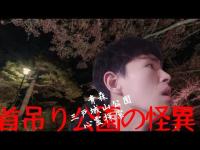 【真冬の心霊配信】首吊り公園の亡霊