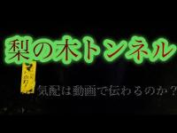 【心霊】滝畑ダムにある梨の木トンネル　ノーカット