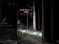 【キネクトカメラ】栃木県心霊スポット旧鞍掛峠【廃道に潜む亡霊】