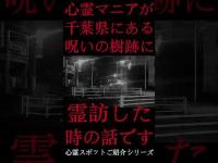 #Shorts 心霊マニアが千葉県にある呪いの樹跡に霊訪した時の話です