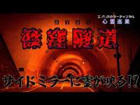 【篠窪隧道】まだ見ぬ心霊を求めて#145【心霊巡業】