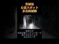 茨城県心霊スポット『多良崎城跡』 #心霊スポット #オカルト