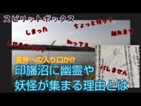 【スピリットボックス】印旛沼に幽霊や妖怪集まる理由を質問してみました