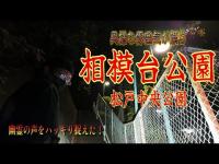 【心霊】先人達の想いが残る公園
