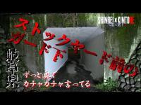 【岐阜県】ストックヤード前のガード下【心霊×筋トレ】