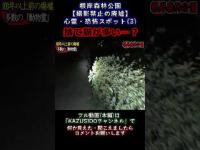 【心霊】捨て猫が多い…？【根岸森林公園】撮影禁止の廃墟【心霊恐怖スポット】 GHOST TUBE検証しました  『3』 #shout #怪現象 #心霊スポット